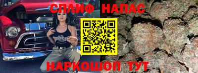 Альфа ПВП Новозыбков