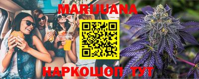 Альфа ПВП Новозыбков