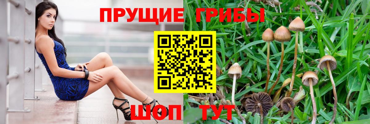 Галлюциногенные грибы Magic Shrooms Трёхгорный