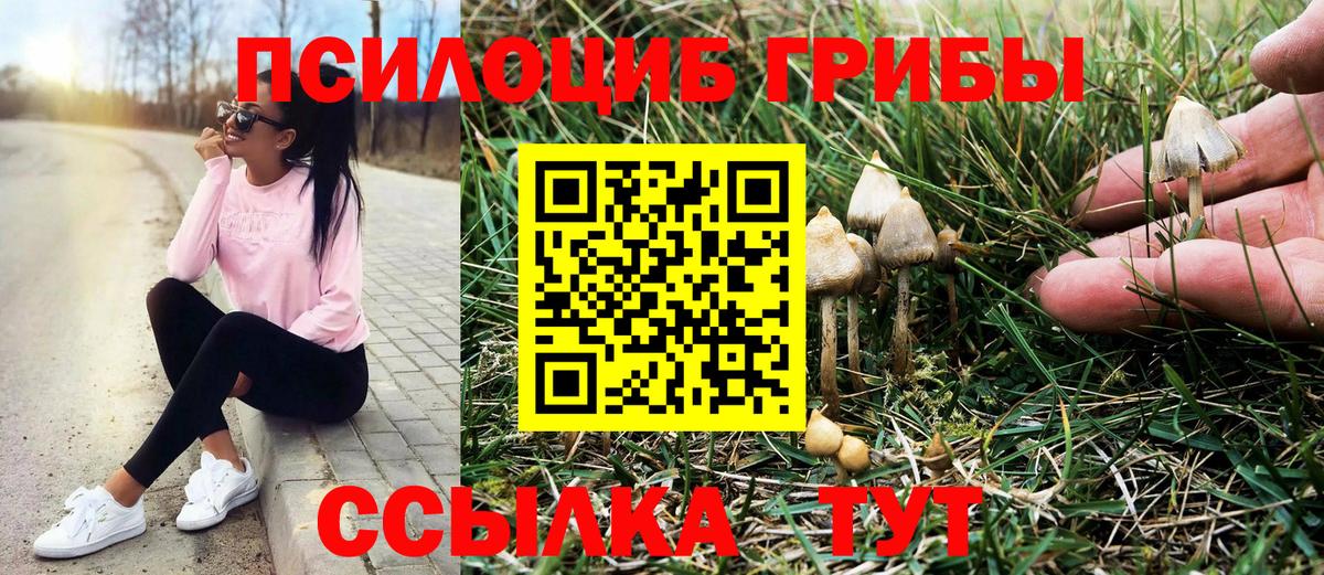 Трёхгорный  Галлюциногенные грибы мицелий  Вход с VPN 